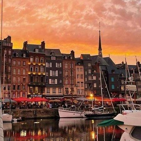 Le Petit Honfleur Lägenhet Exteriör bild